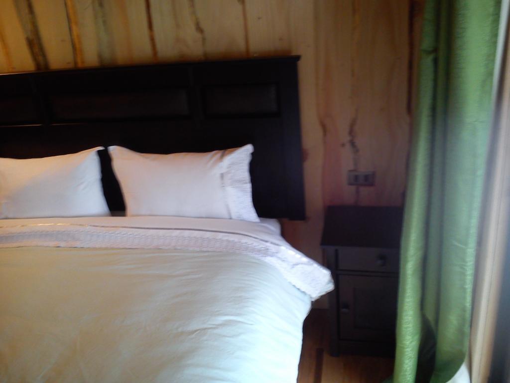 Hostal Los Alamos Neltume Δωμάτιο φωτογραφία